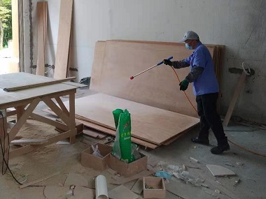 花都白蚁备案机构装修怎么防治白蚁？看完你就知道了