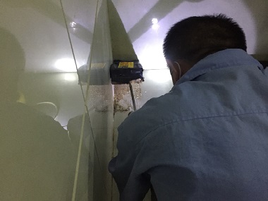 白云白蚁防治机构5个实用技巧,拒绝白蚁找上门